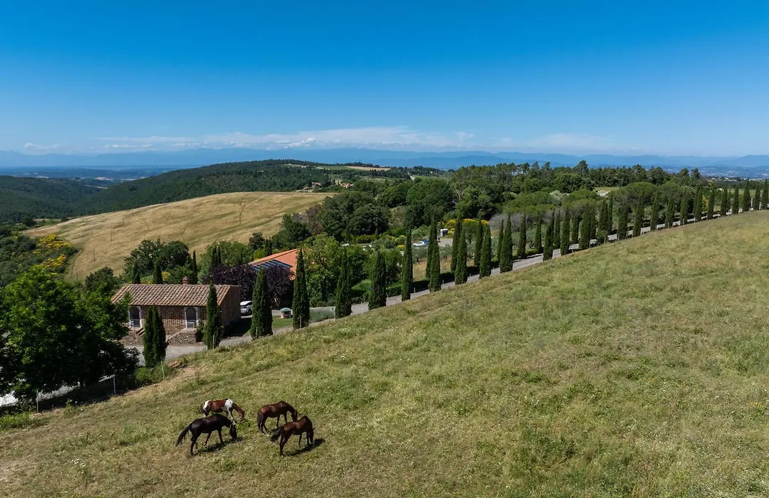 Agriturismo Poggio Leone-1