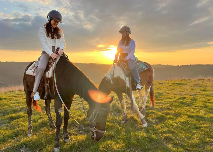 Agriturismo Poggio Leone